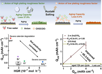 Anion-Dominated Calendar Aging in Aqueous Zinc Metal Batteries