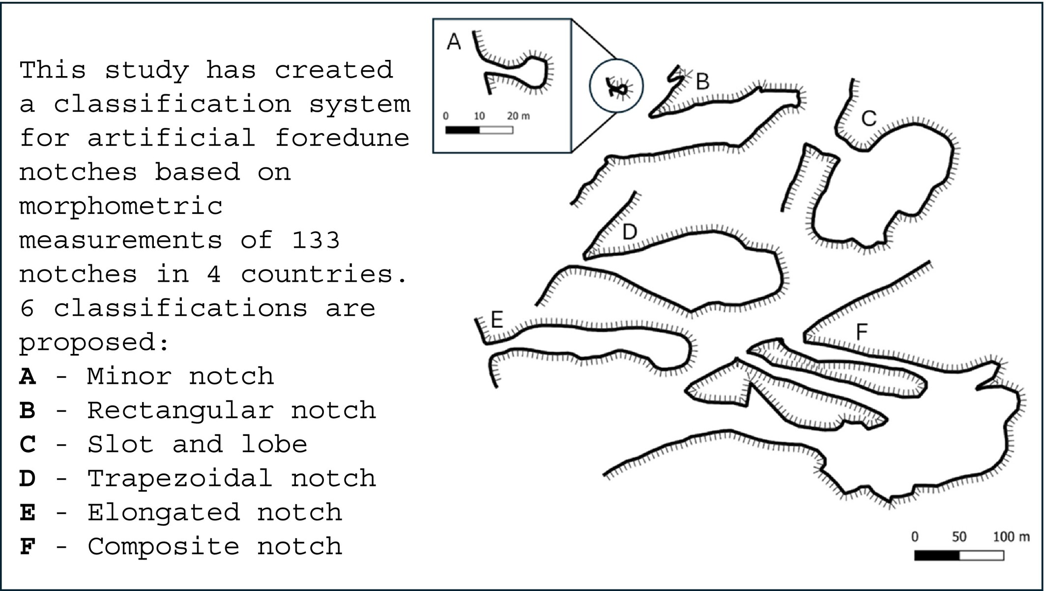 Distribution and constructed morphology of artificial foredune notches