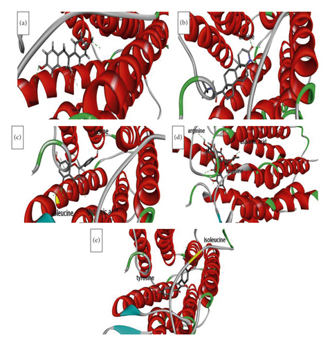 Details are in the caption following the image