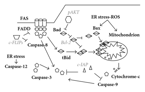 Details are in the caption following the image