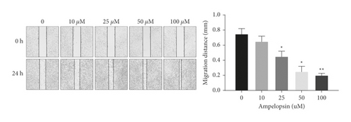 Details are in the caption following the image