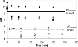 Excipients-Induced Salt-to-Free Base Phase Transformation