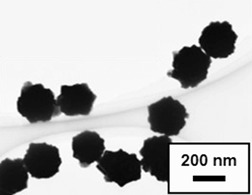 Effect of Seeding and pH Conditions on the Size and Shape of Au Nanoparticles in Reduction Crystallization