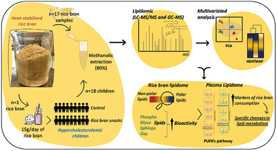 Rice Bran Lipidome Identifies Novel Phospholipids, Glycolipids, and Oxylipins with Roles in Lipid Metabolism of Hypercholesterolemic Children