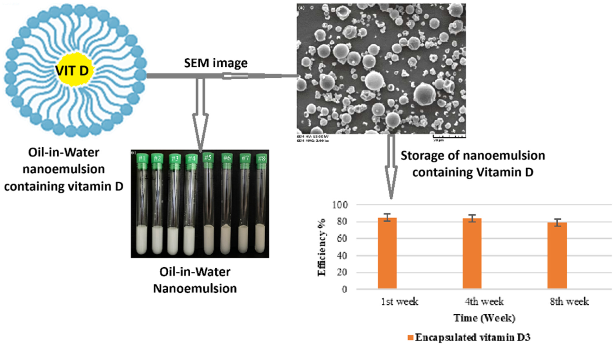 Fortification of Sunflower Oil by Nanoemulsions Containing Vitamin-D3: Formation, Stability, and Release