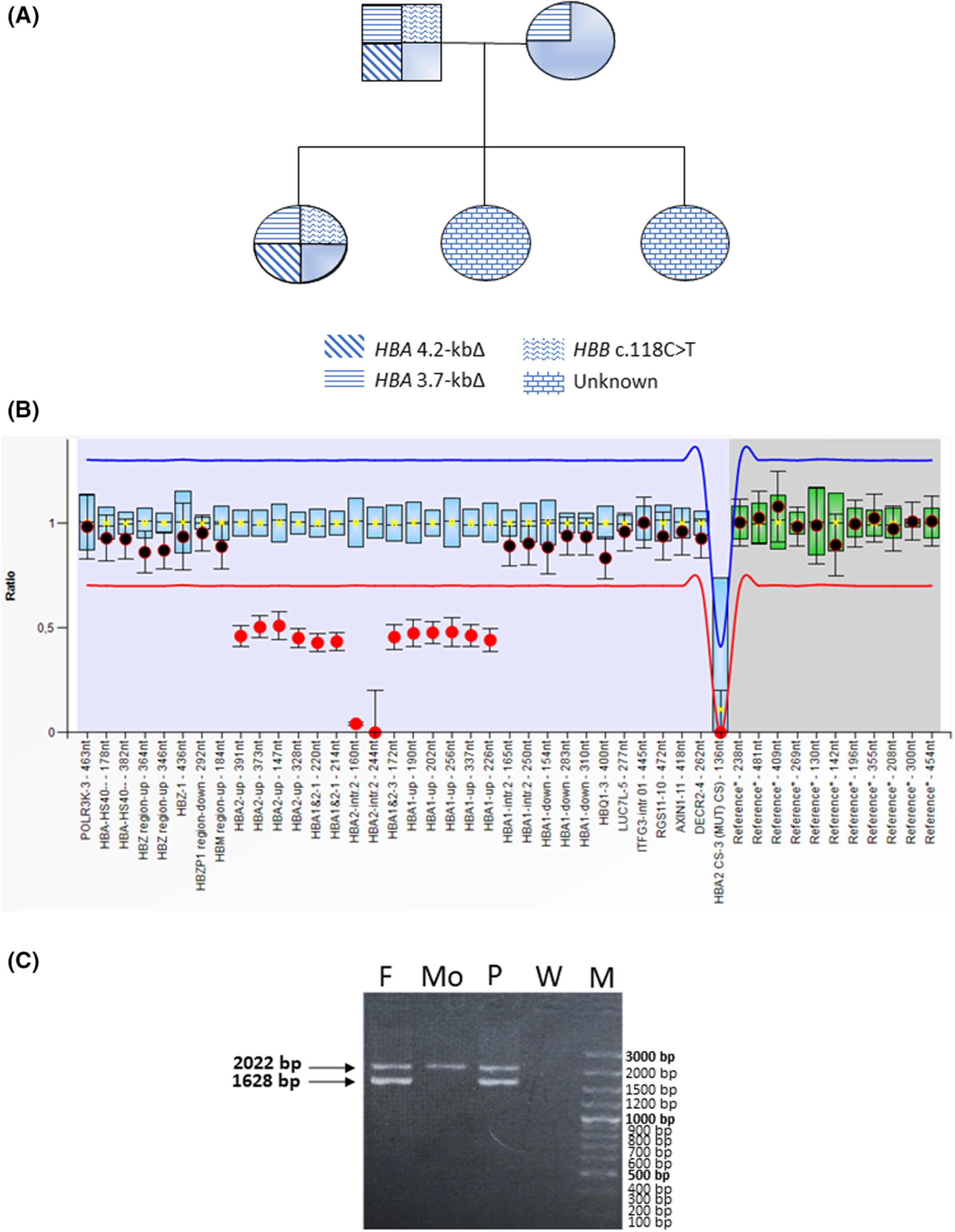 The need to perform α-thalassemia genetic testing in Italian patients with β-thalassemia trait: A case report