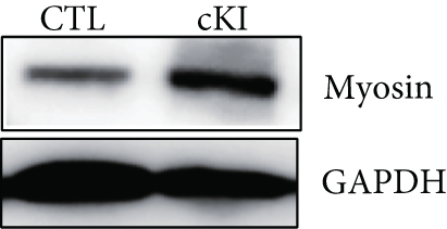 Details are in the caption following the image