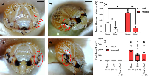 Details are in the caption following the image Details are in the caption following the image