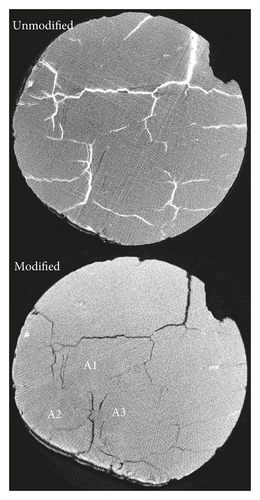 Details are in the caption following the image Details are in the caption following the image