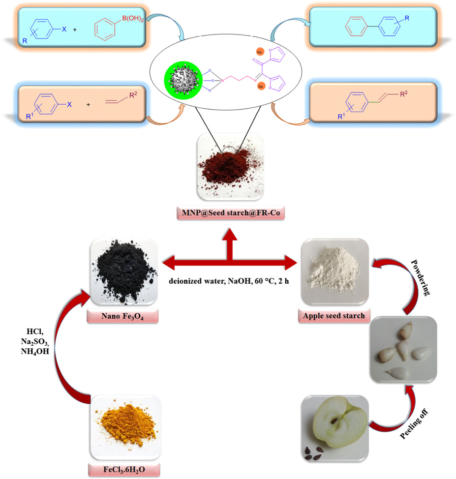 Magnetic apple seed starch functionalized with 2,2′-furil as a green host for cobalt nanoparticles: Highly active and reusable catalyst for Mizoroki–Heck and the Suzuki–Miyaura reactions