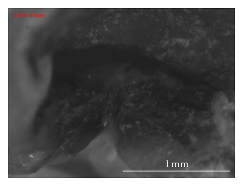 Details are in the caption following the image