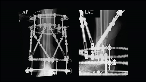 Details are in the caption following the image Details are in the caption following the image