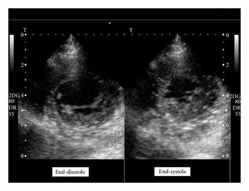 Details are in the caption following the image Details are in the caption following the image