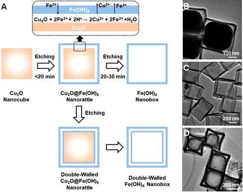 Details are in the caption following the image Details are in the caption following the image