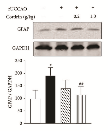 Details are in the caption following the image