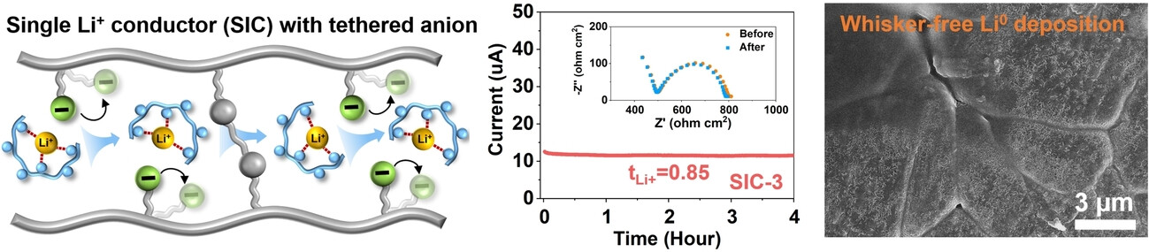Anion-tethered Single Lithium-ion Conducting Polyelectrolytes through UV-induced Free Radical Polymerization for Improved Morphological Stability of Lithium Metal Anodes