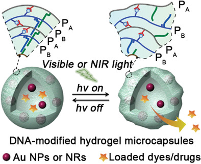 Thermoplasmonic-Triggered Release of Loads from DNA-Modified Hydrogel Microcapsules Functionalized with Au Nanoparticles or Au Nanorods