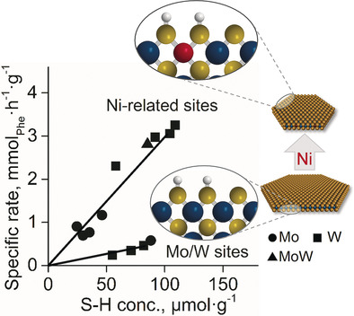 Active Sites on Nickel-Promoted Transition-Metal Sulfides That Catalyze Hydrogenation of Aromatic Compounds
