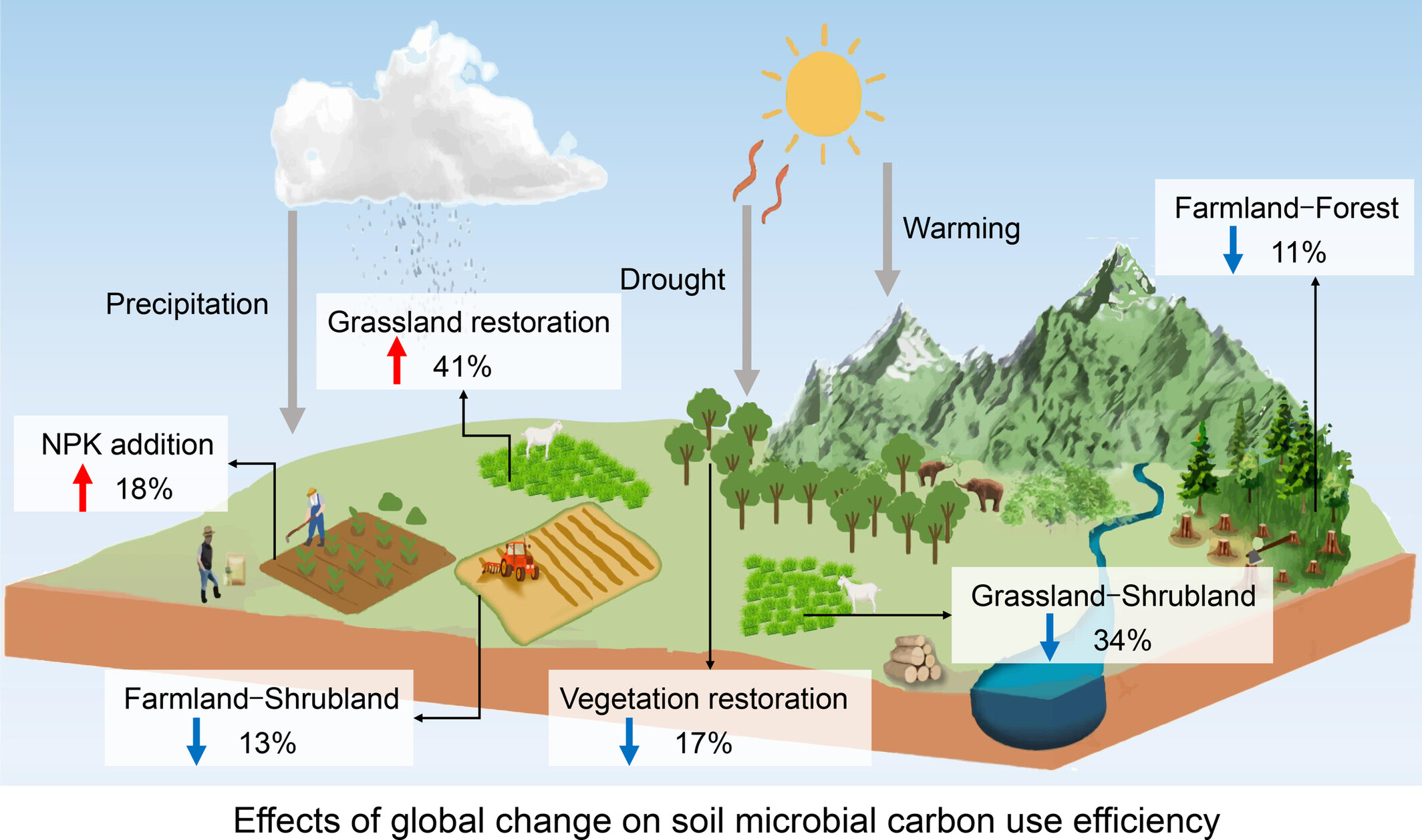 Global Change Modulates Microbial Carbon Use Efficiency: Mechanisms and Impacts on Soil Organic Carbon Dynamics