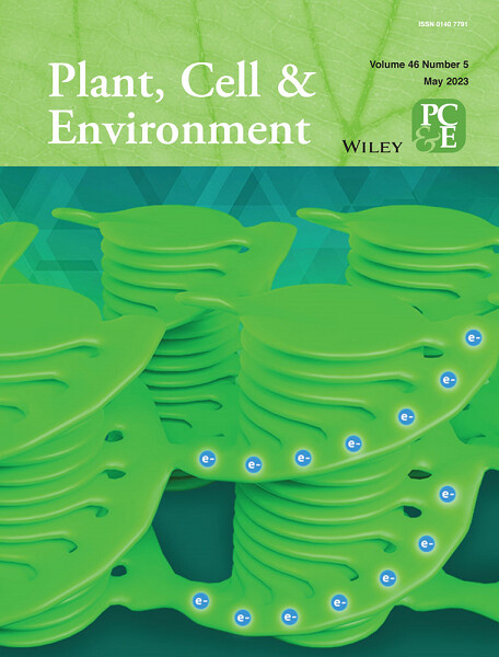 Cover Image Volume 46 Issue 5, 2023