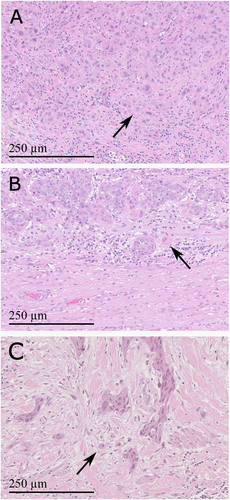 Details are in the caption following the image