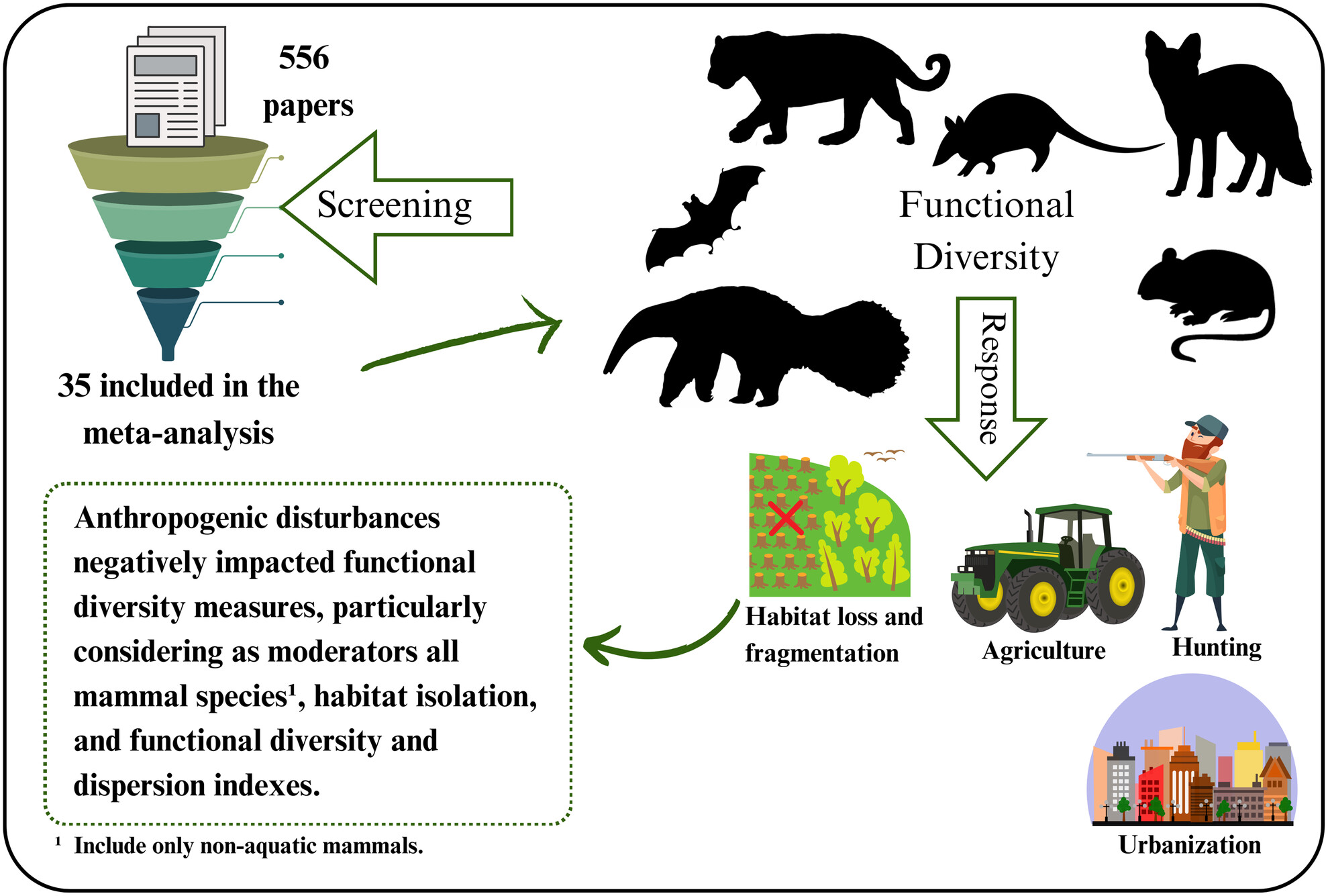 A meta-analysis of the effects of anthropogenic disturbances on tropical mammal functional diversity