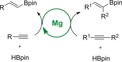 Magnesium-Catalyzed Hydroboration of Terminal and Internal Alkynes