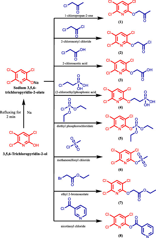 Synthesis, computer-aided ADMET prediction, and molecular docking of novel 3,5,6-trichloropyridin-2-yl derivatives as potential antimicrobial agents