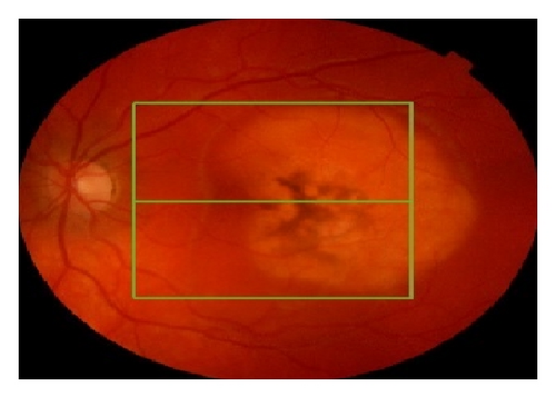 Details are in the caption following the image Details are in the caption following the image