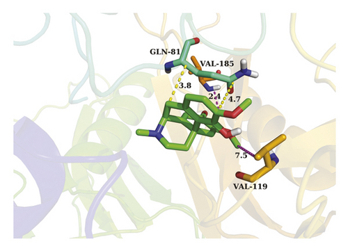 Details are in the caption following the image Details are in the caption following the image