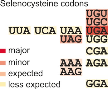 Facile Recoding of Selenocysteine in Nature