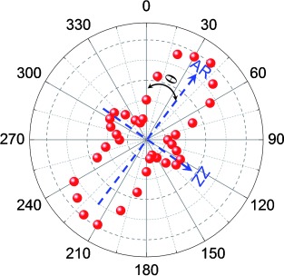 Identifying the Crystalline Orientation of Black Phosphorus Using Angle-Resolved Polarized Raman Spectroscopy