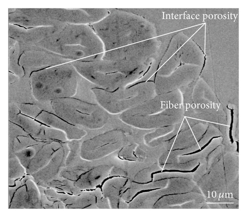 Details are in the caption following the image