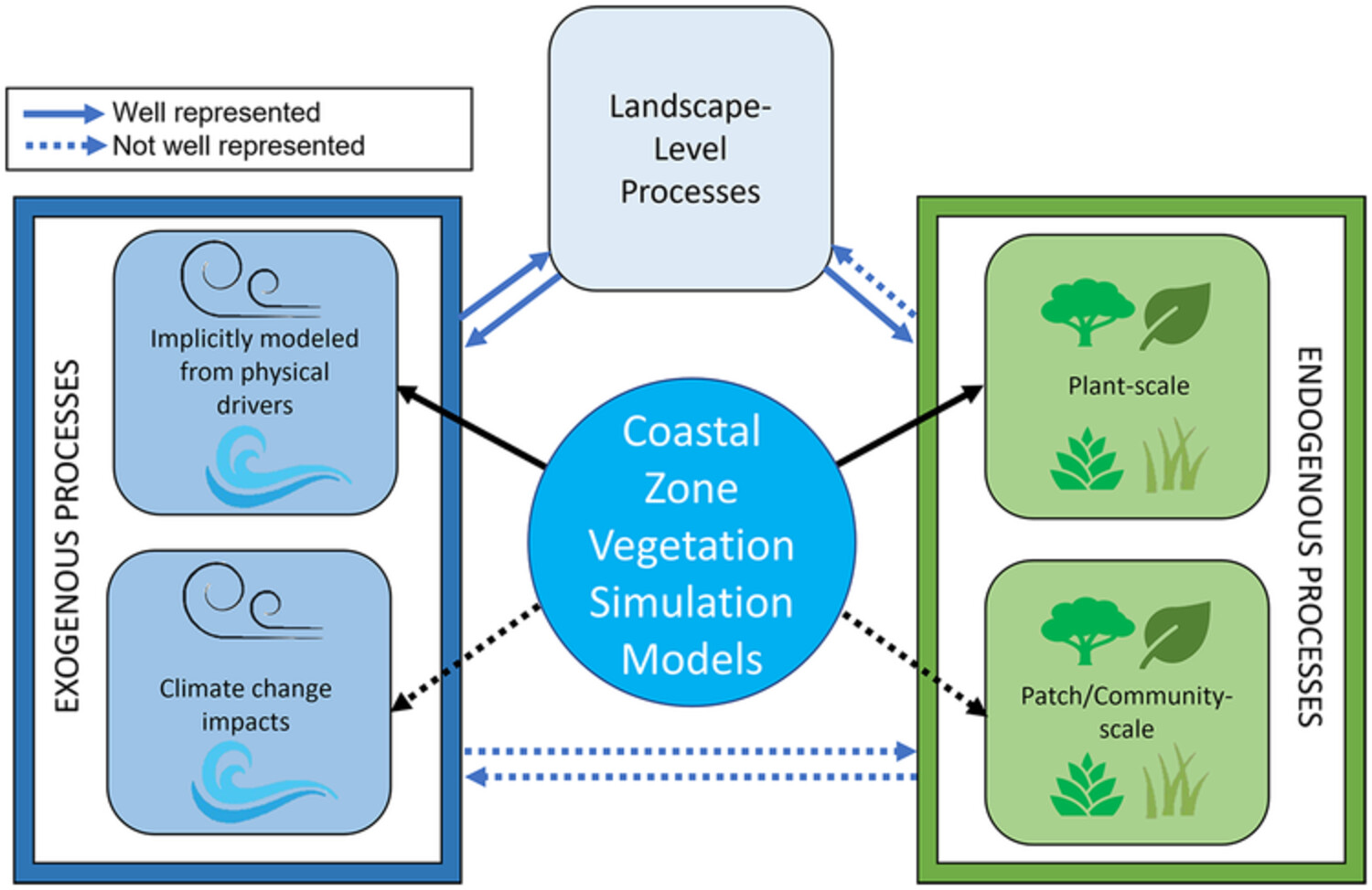 Examining the commonalities and knowledge gaps in coastal zone vegetation simulation models