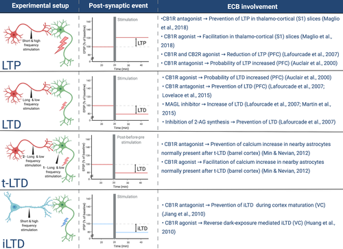 Details are in the caption following the image Details are in the caption following the image