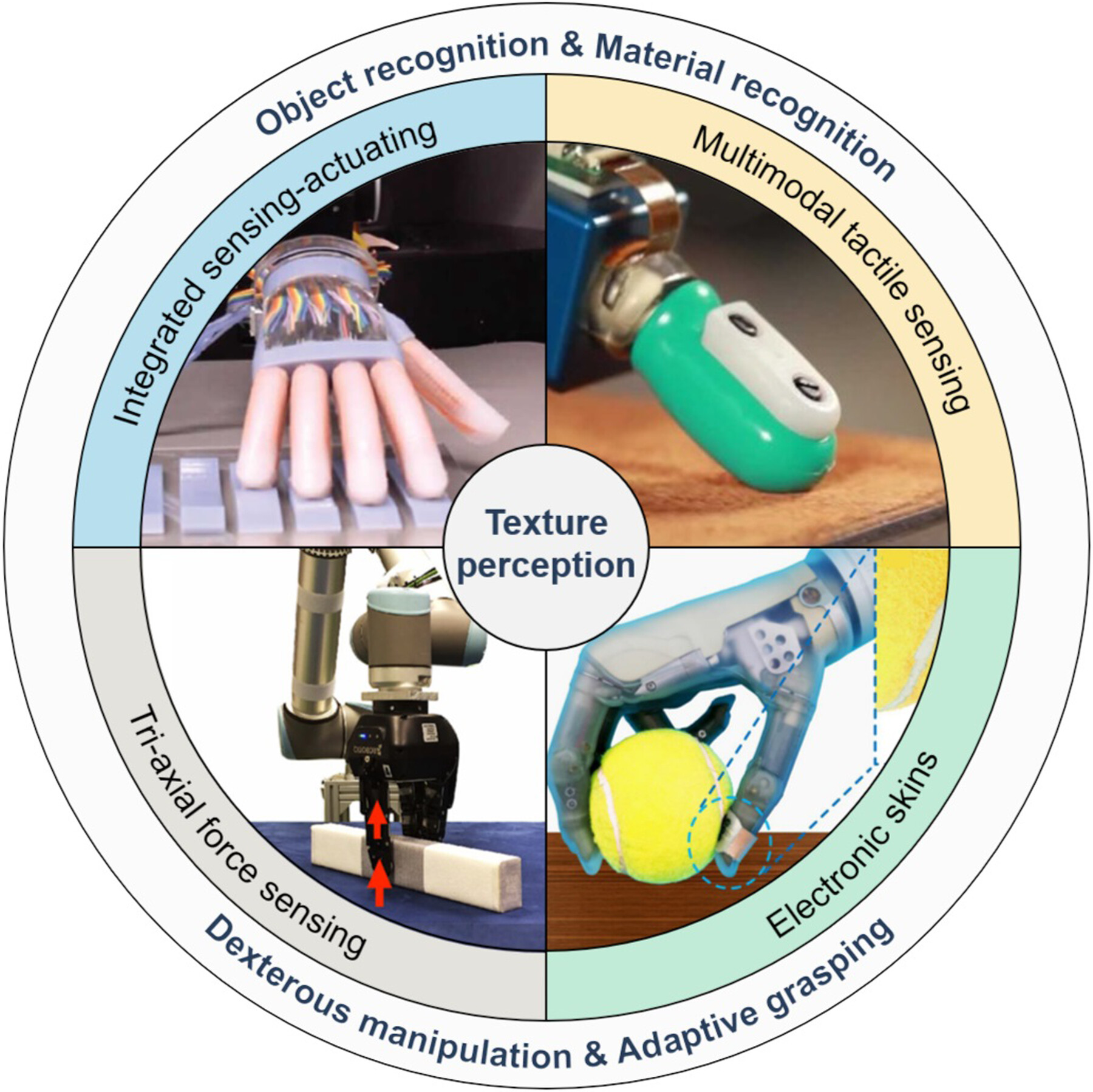 Recent Progress in Tactile Sensing and Machine Learning for Texture Perception in Humanoid Robotics