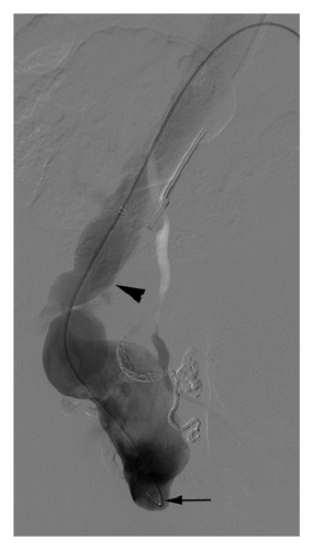 Details are in the caption following the image Details are in the caption following the image
