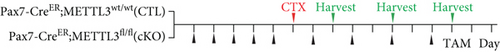 Details are in the caption following the image