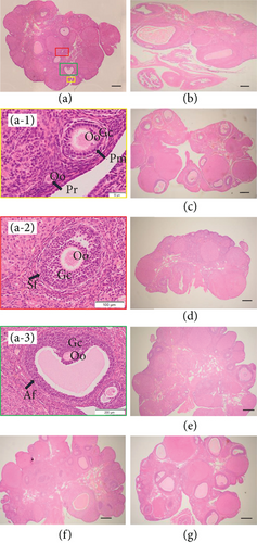 Details are in the caption following the image