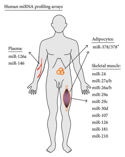 Details are in the caption following the image