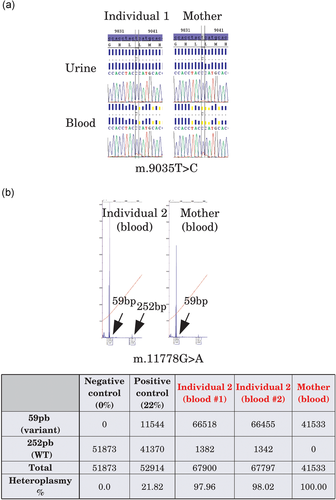 Details are in the caption following the image Details are in the caption following the image