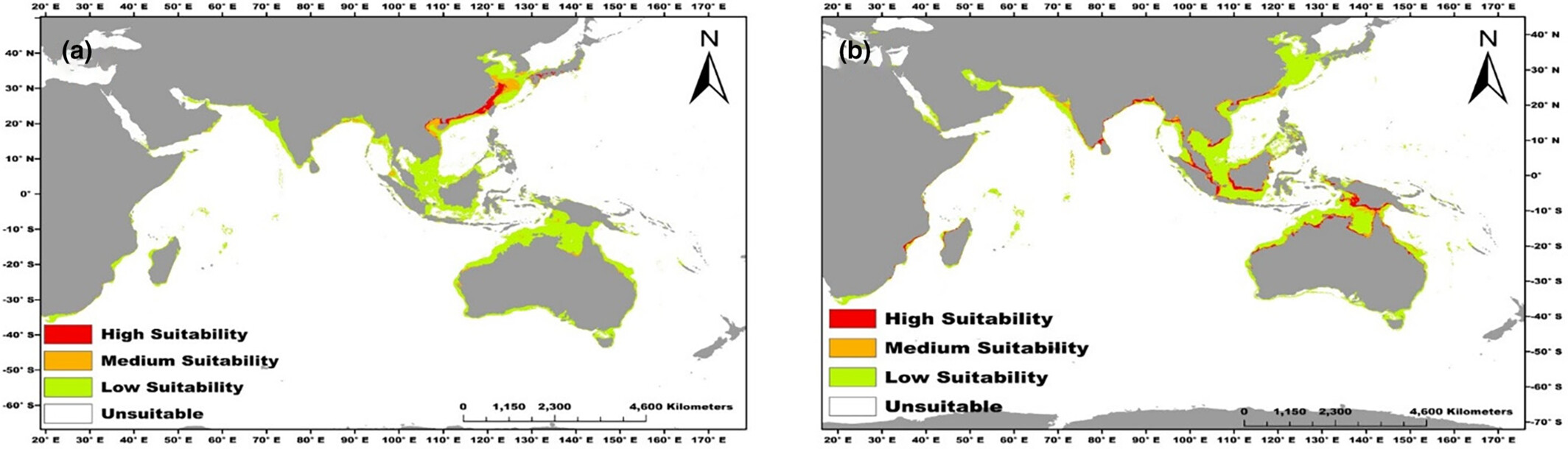 Modeling Habitat Suitability for Cerithidea rhizophorarum and Telescopium telescopium in Indo-West Pacific Mangroves