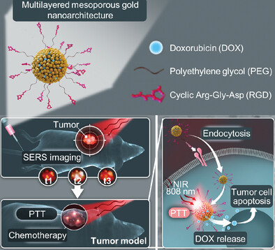 A Multilayered Mesoporous Gold Nanoarchitecture for Ultraeffective Near-Infrared Light-Controlled Chemo/Photothermal Therapy for Cancer Guided by SERS Imaging