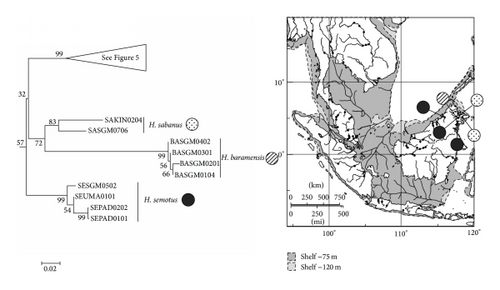 Details are in the caption following the image