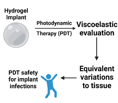 Photodynamic Therapy Minimally Affects HEMA-DMAEMA Hydrogel Viscoelasticity