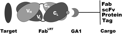 Details are in the caption following the image Details are in the caption following the image