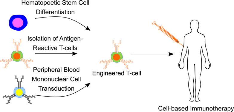 Applications of molecular engineering in T-cell-based immunotherapies Issue 5, 2019