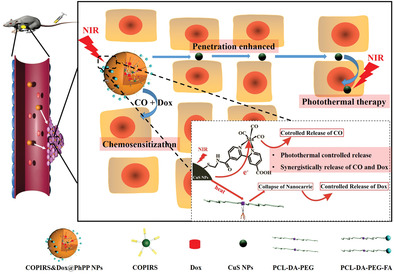Cascade Tumor Therapy Platform for Sensitized Chemotherapy and Penetration Enhanced Photothermal Therapy