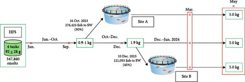 Details are in the caption following the image Details are in the caption following the image
