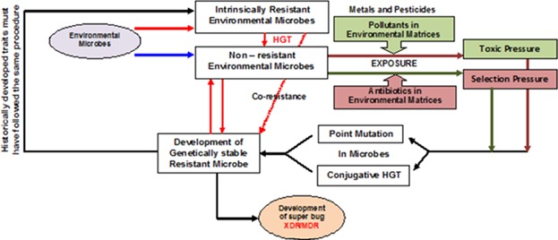 Understanding the Development of Environmental Resistance Among Microbes: A Review